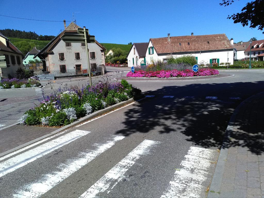Gites & Camping On The Route Des Vins Bergheim Kültér fotó