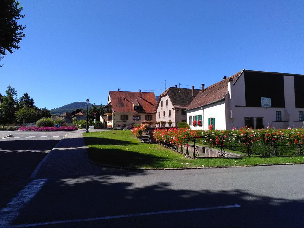 Gites & Camping On The Route Des Vins Bergheim Kültér fotó