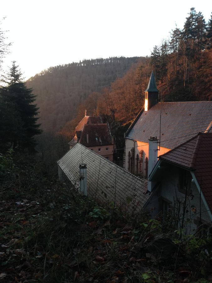 Gites & Camping On The Route Des Vins Bergheim Kültér fotó