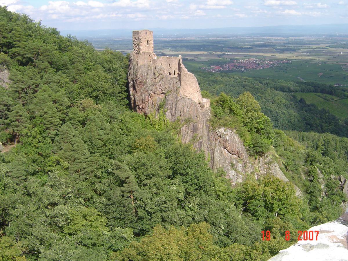 Gites & Camping On The Route Des Vins Bergheim Kültér fotó
