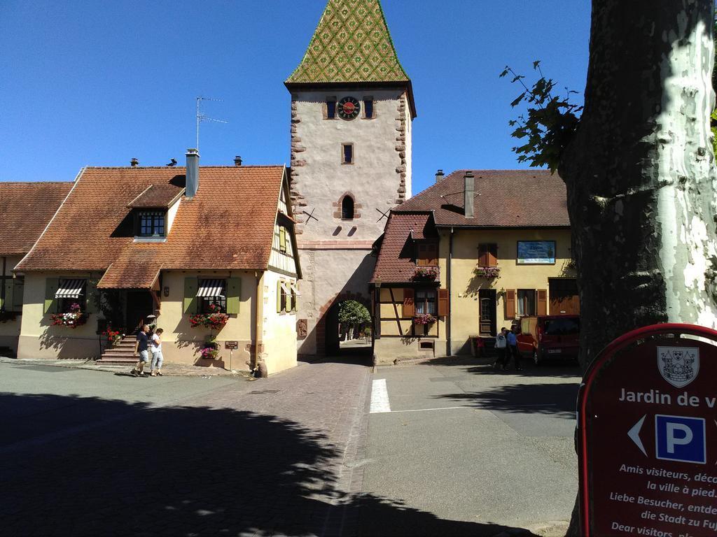 Gites & Camping On The Route Des Vins Bergheim Kültér fotó