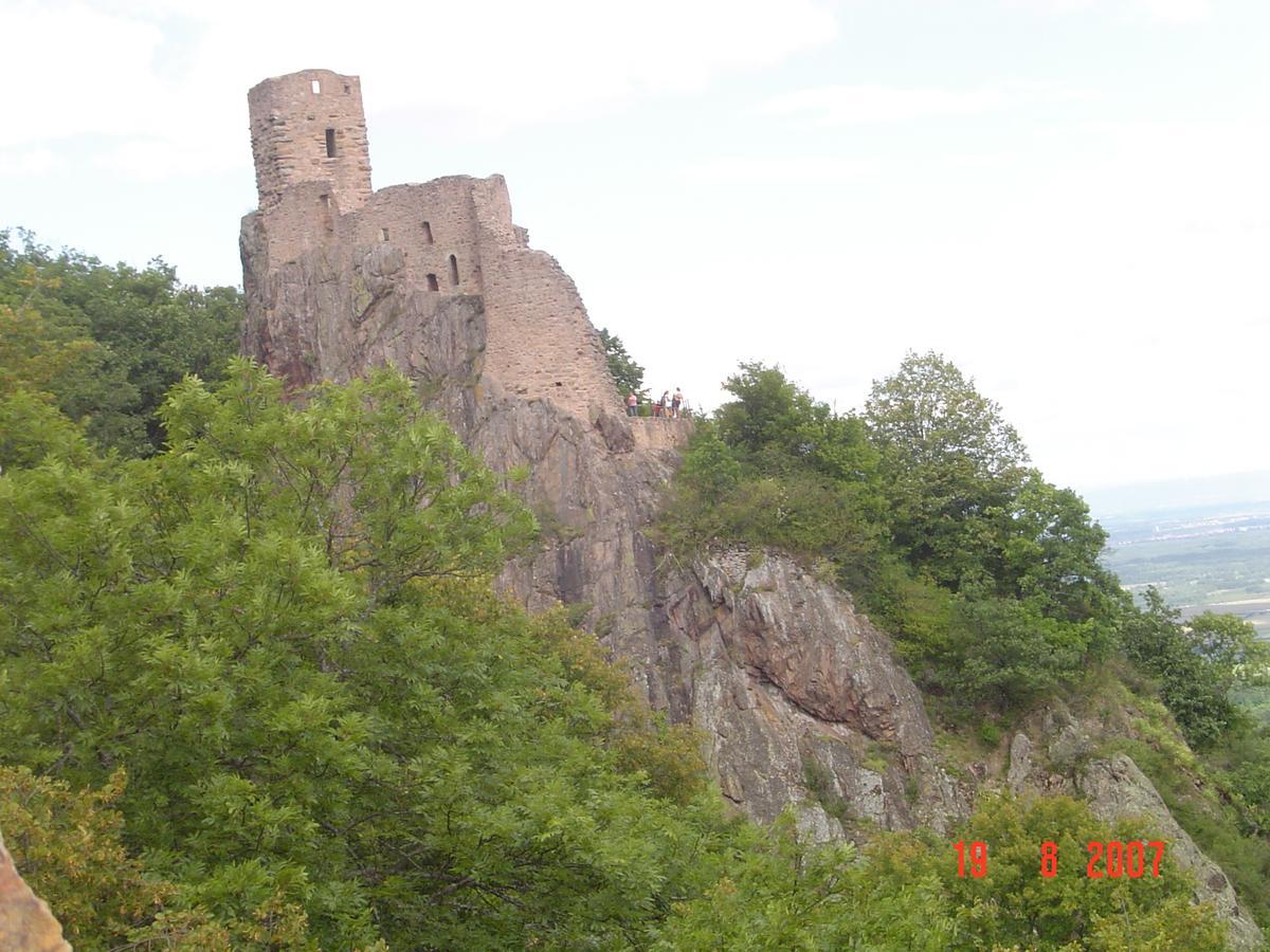 Gites & Camping On The Route Des Vins Bergheim Kültér fotó