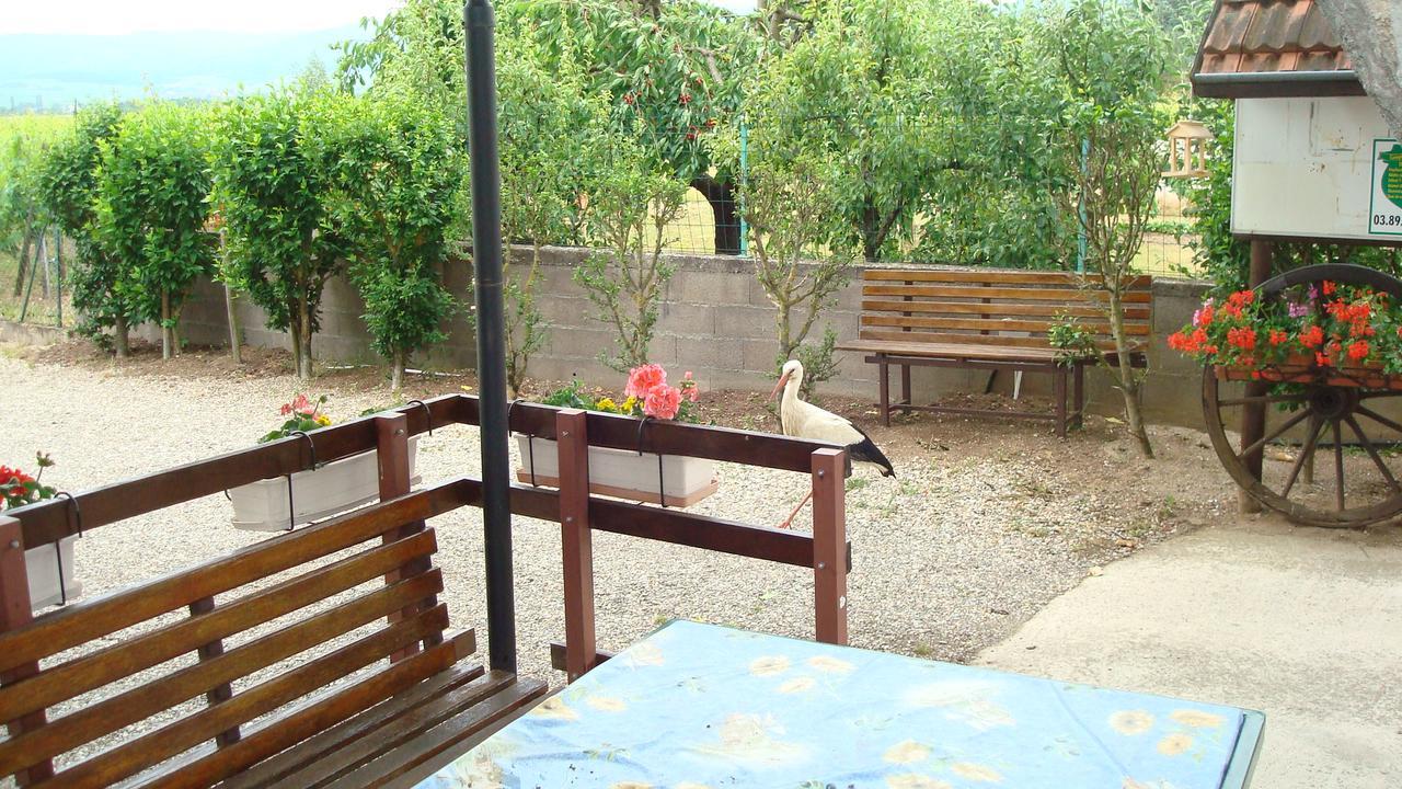 Gites & Camping On The Route Des Vins Bergheim Kültér fotó