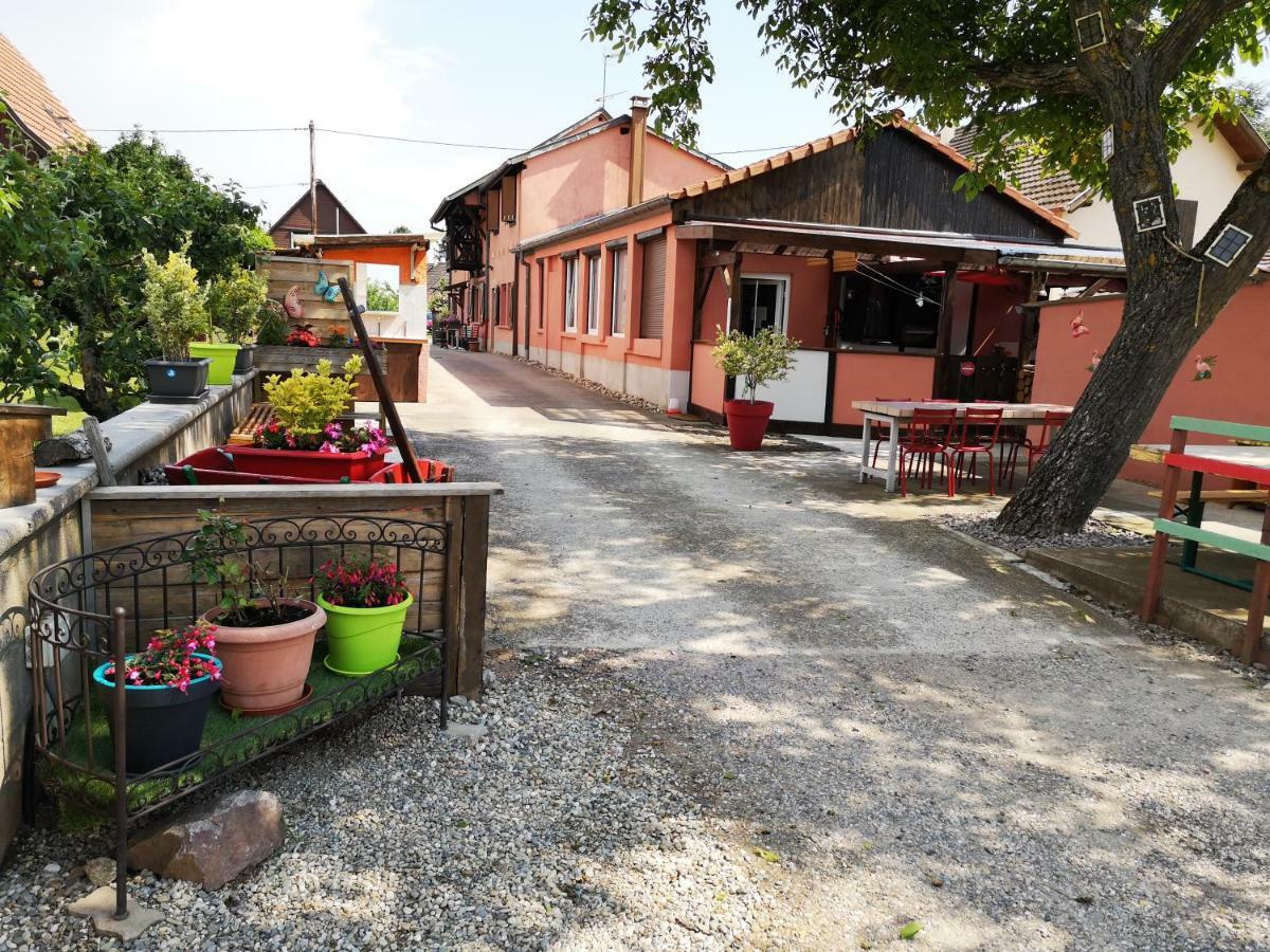 Gites & Camping On The Route Des Vins Bergheim Kültér fotó